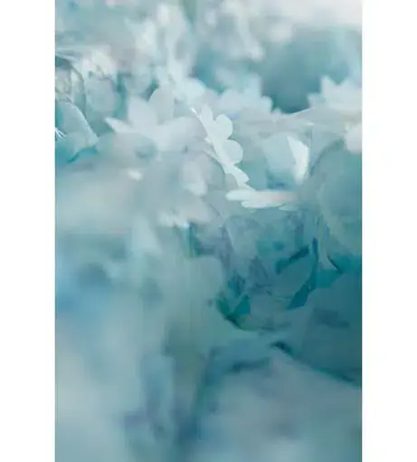product_#UHJvZHVjdE1lZGlhOjc0MTE2Nw==