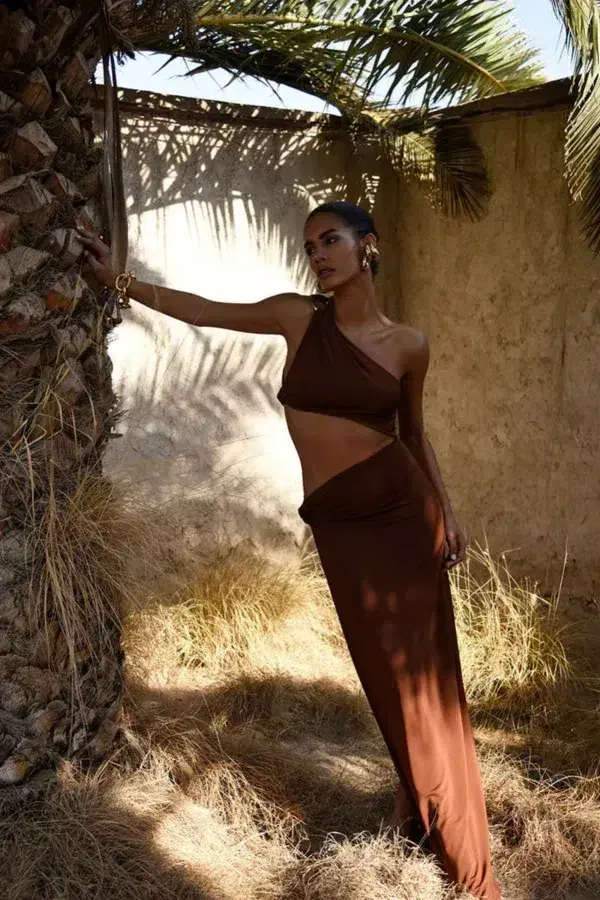 Rat & Boa Isamaya  Maxi Dress Brown Size UK 10 for rent on The Volte - main image