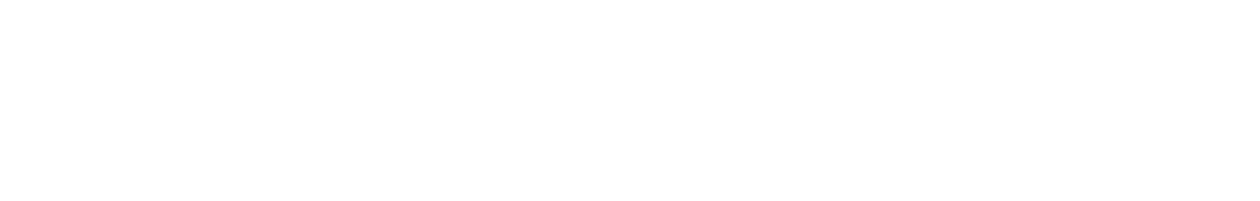 ELLE ZEITOUNE logo