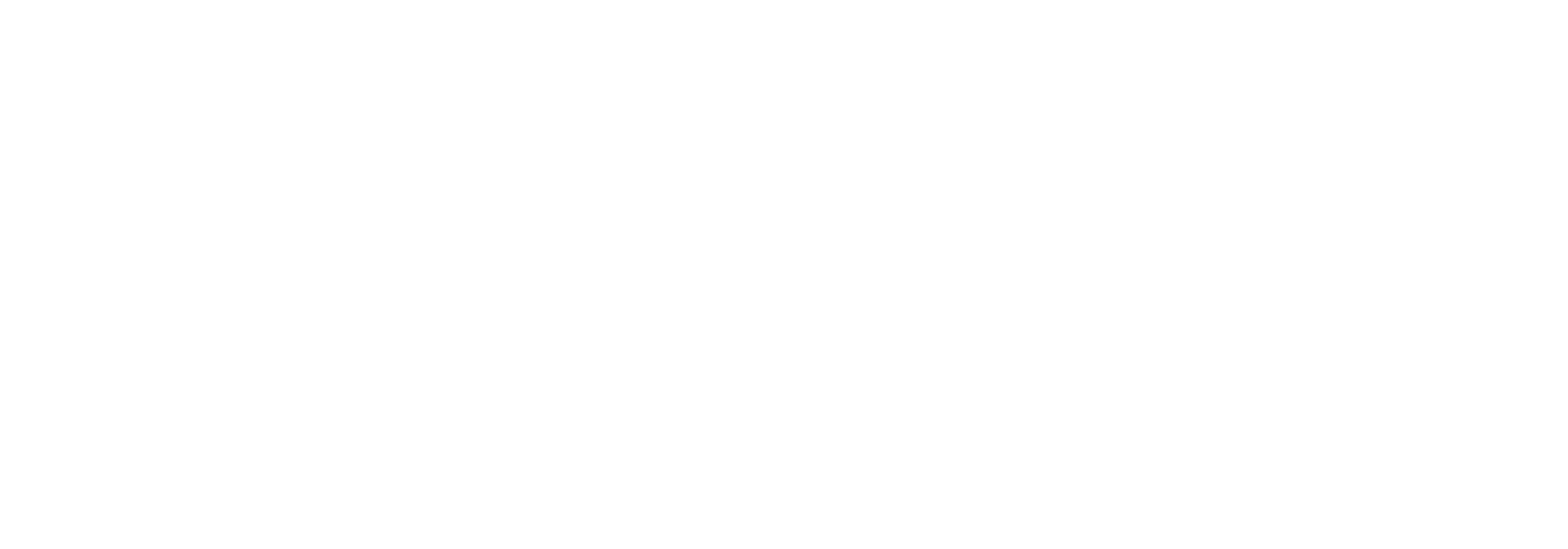 PFEIFFER logo